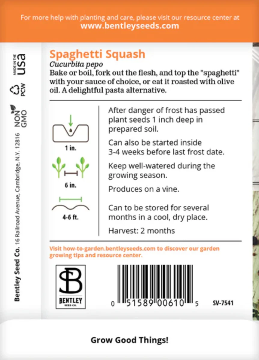 Squash 'Spaghetti' - Vegetable Seeds - Image 3