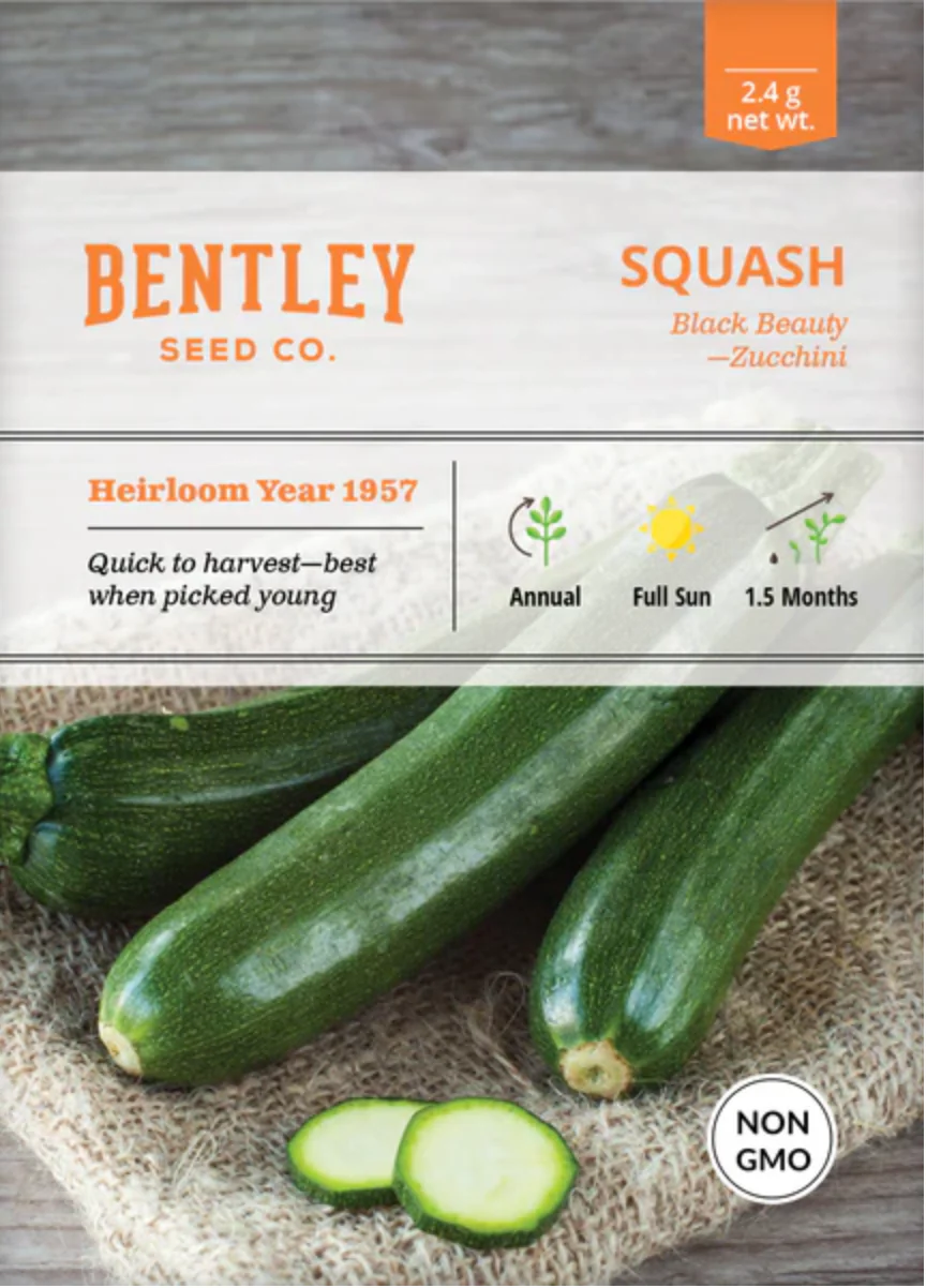 Squash 'Black Beauty' Zucchini - Vegetable Seeds - Image 2
