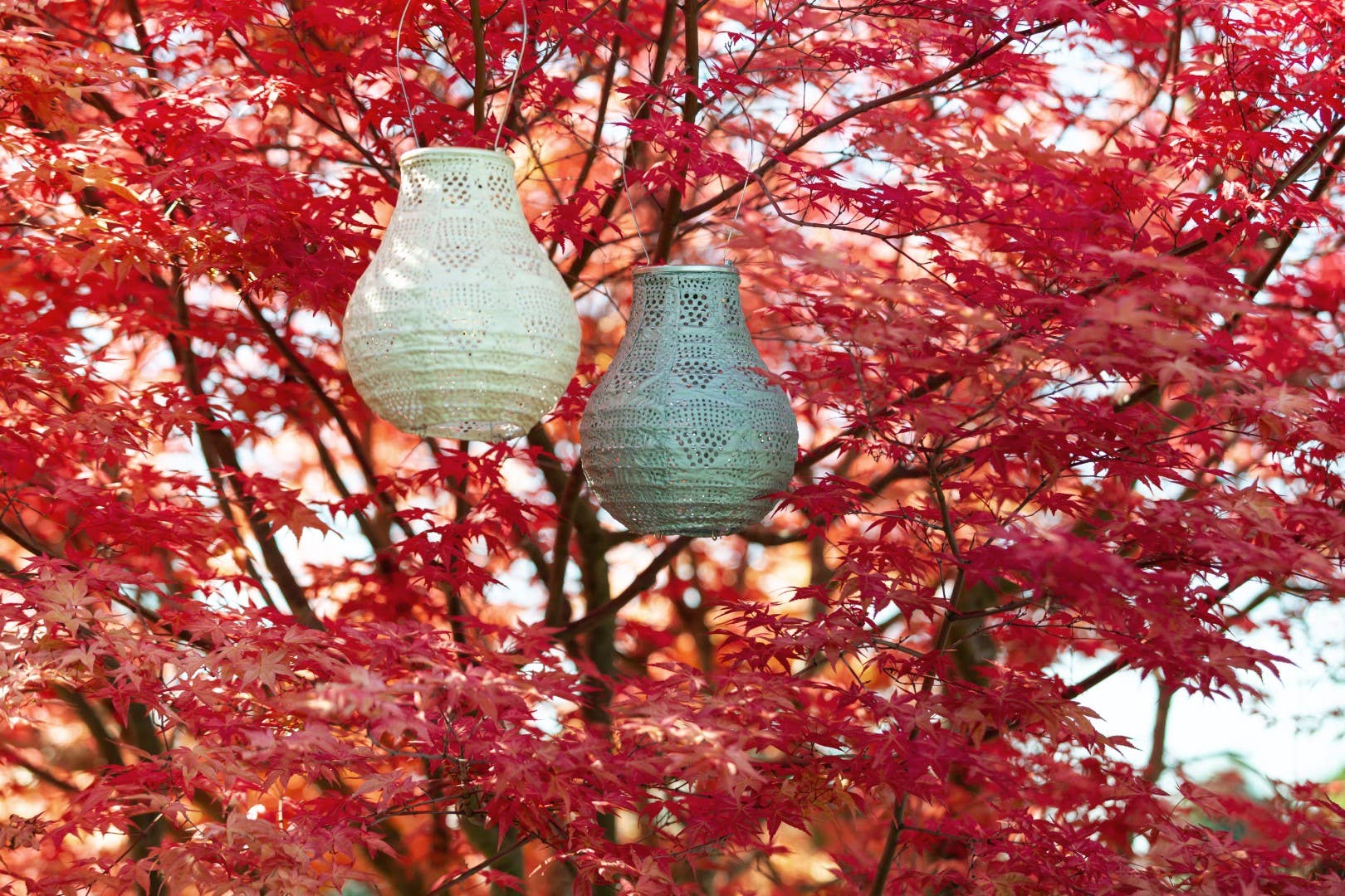 Stella BulbSolar Lantern - Sage - Image 14