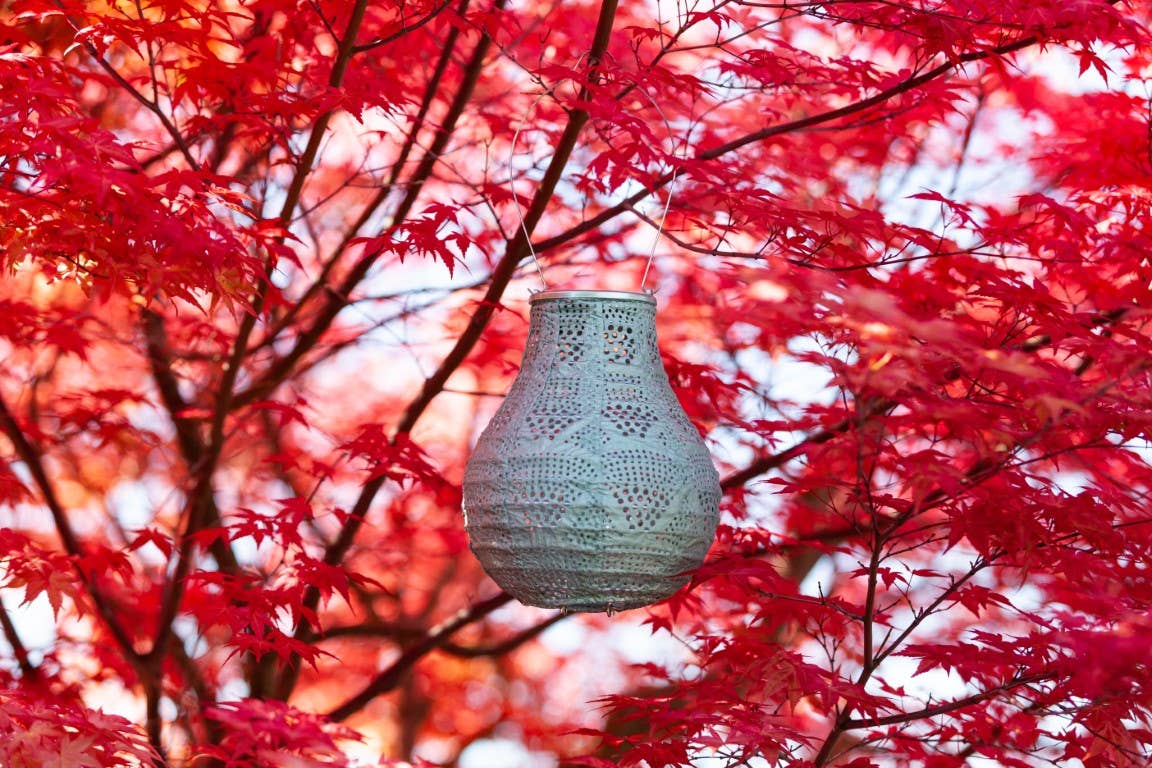 Stella BulbSolar Lantern - Sage - Image 5