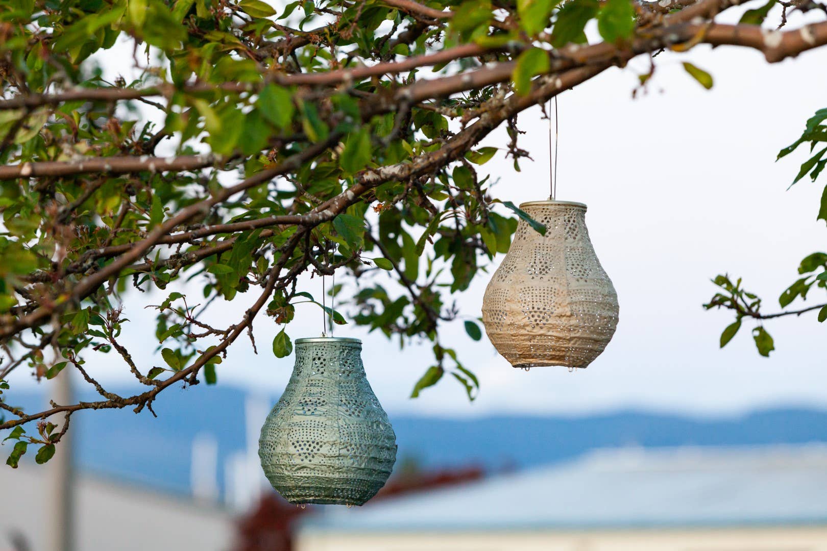 Stella BulbSolar Lantern - Sage - Image 6