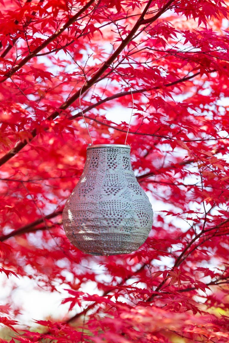 Stella BulbSolar Lantern - Sage - Image 7