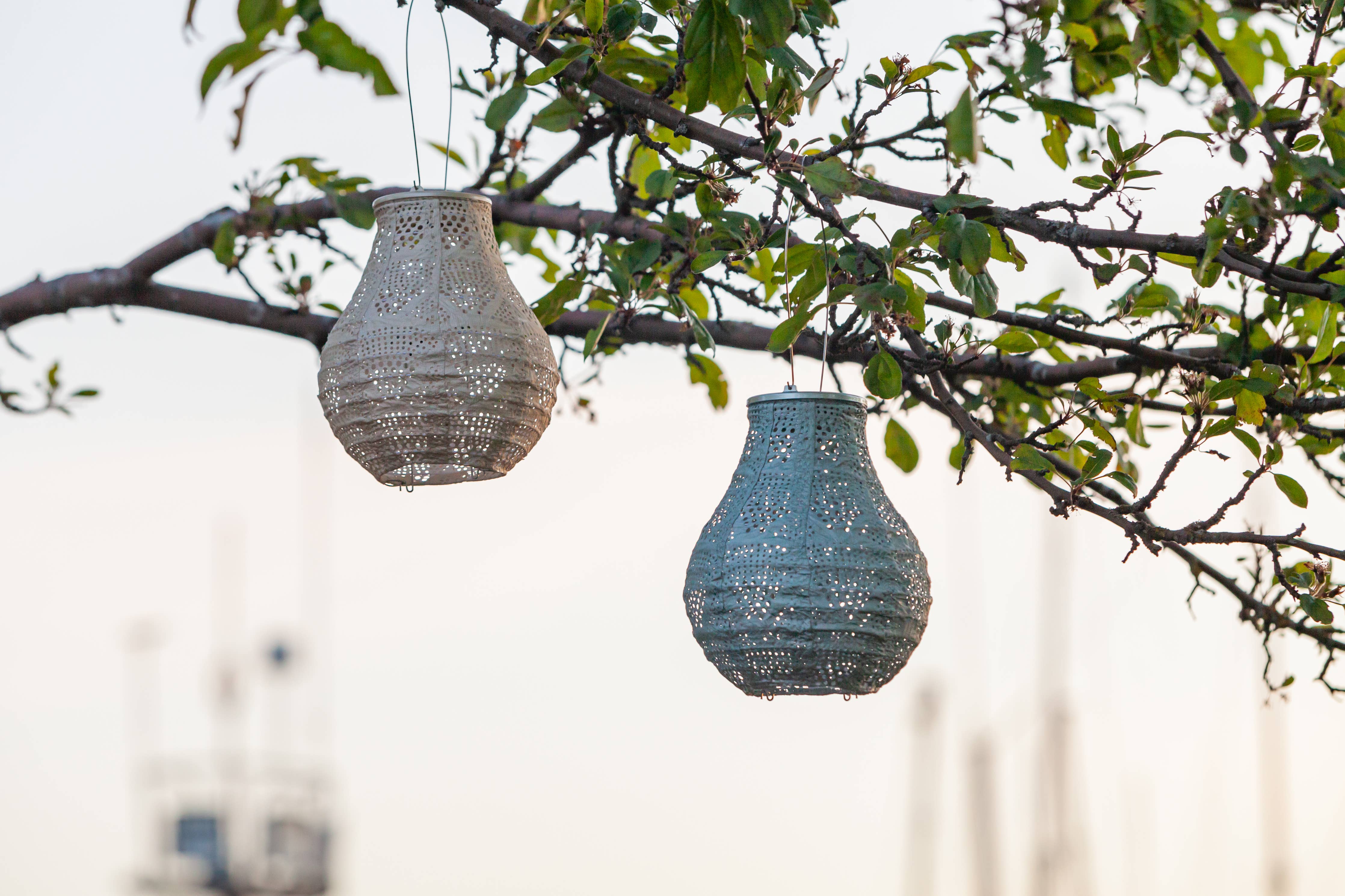 Stella BulbSolar Lantern - Sage - Image 9