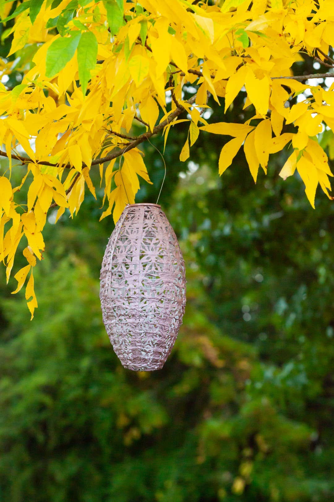 Stella Wildflower Pod Solar Lantern - Blush - Image 10
