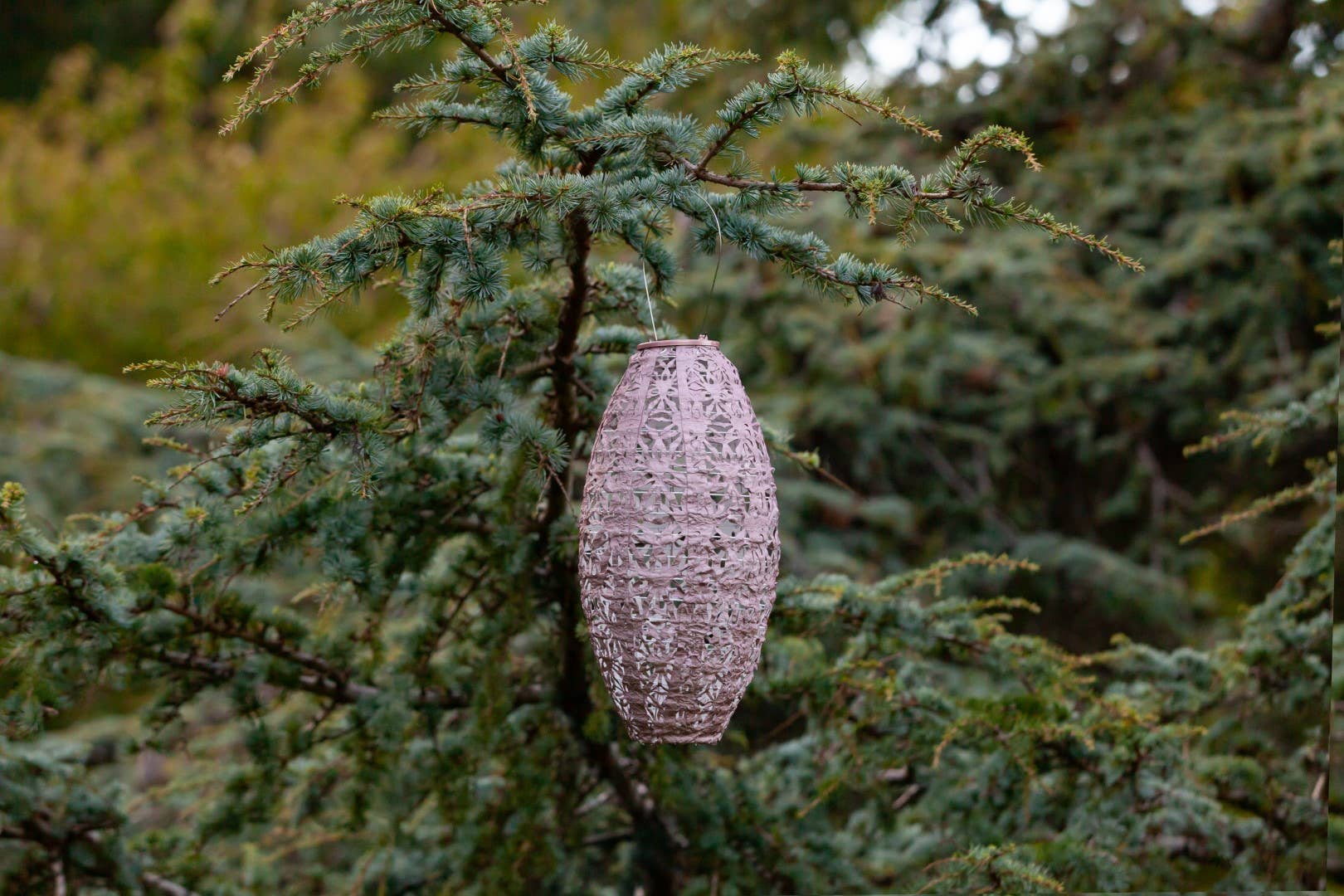 Stella Wildflower Pod Solar Lantern - Blush - Image 11