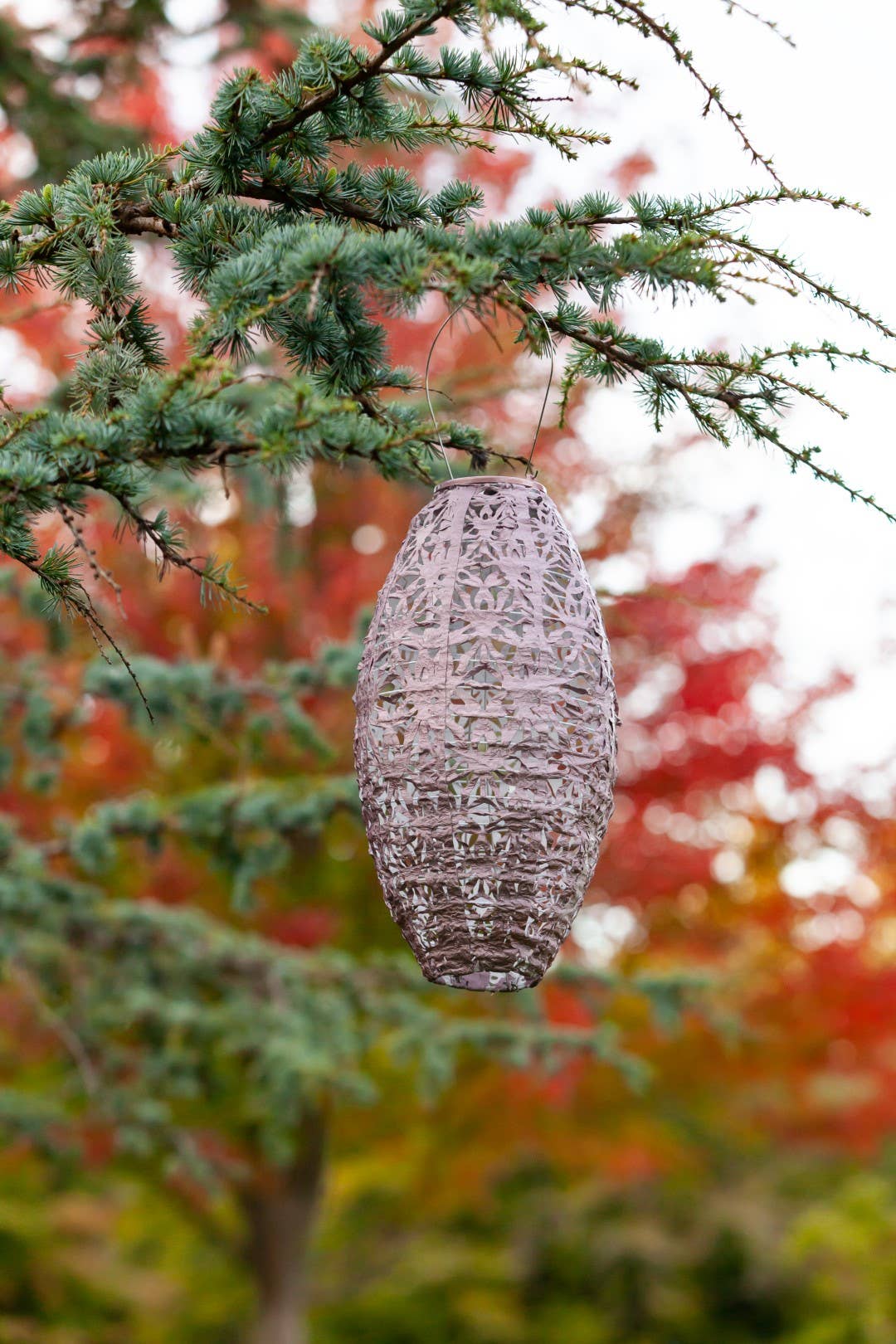 Stella Wildflower Pod Solar Lantern - Blush - Image 13