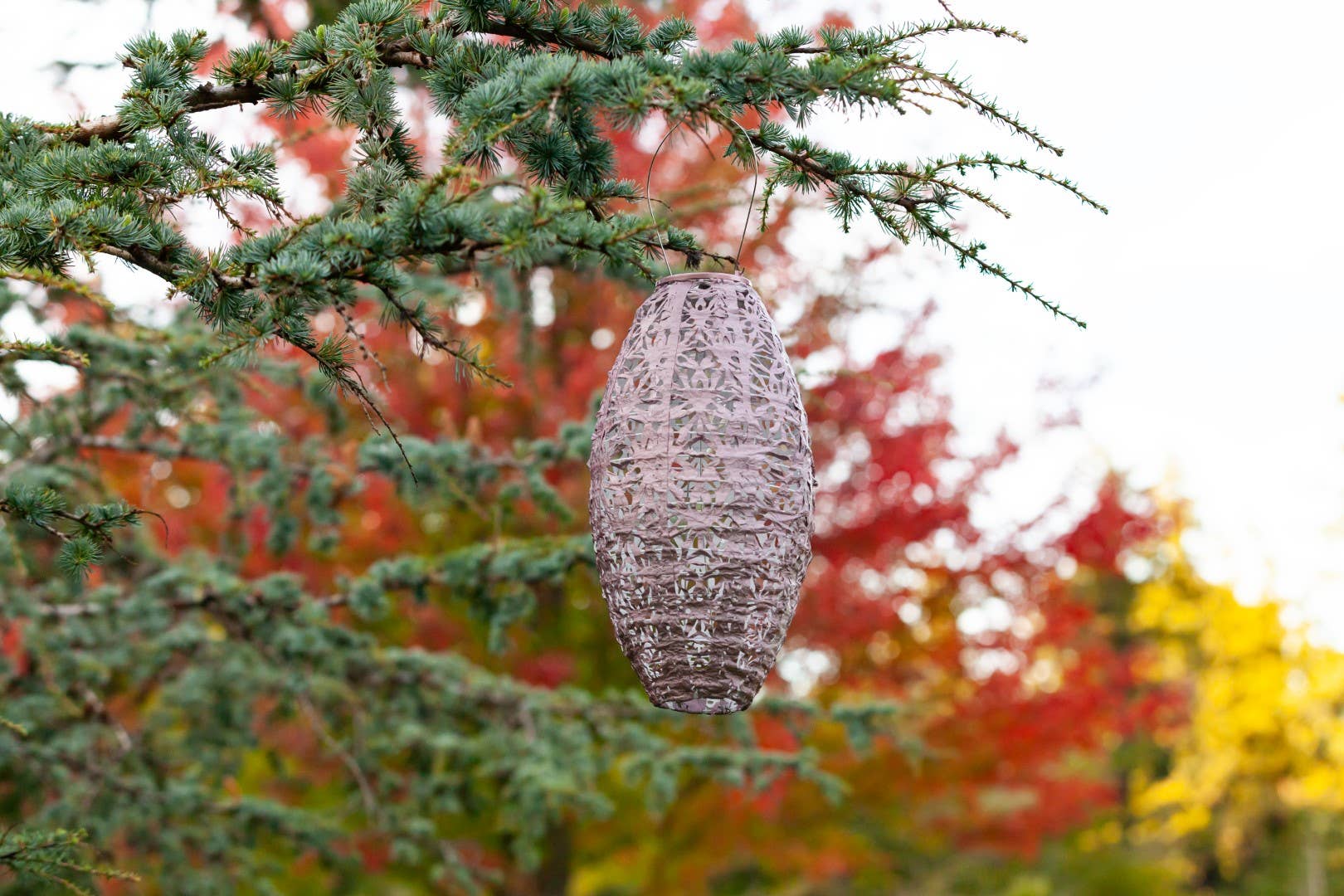 Stella Wildflower Pod Solar Lantern - Blush - Image 14