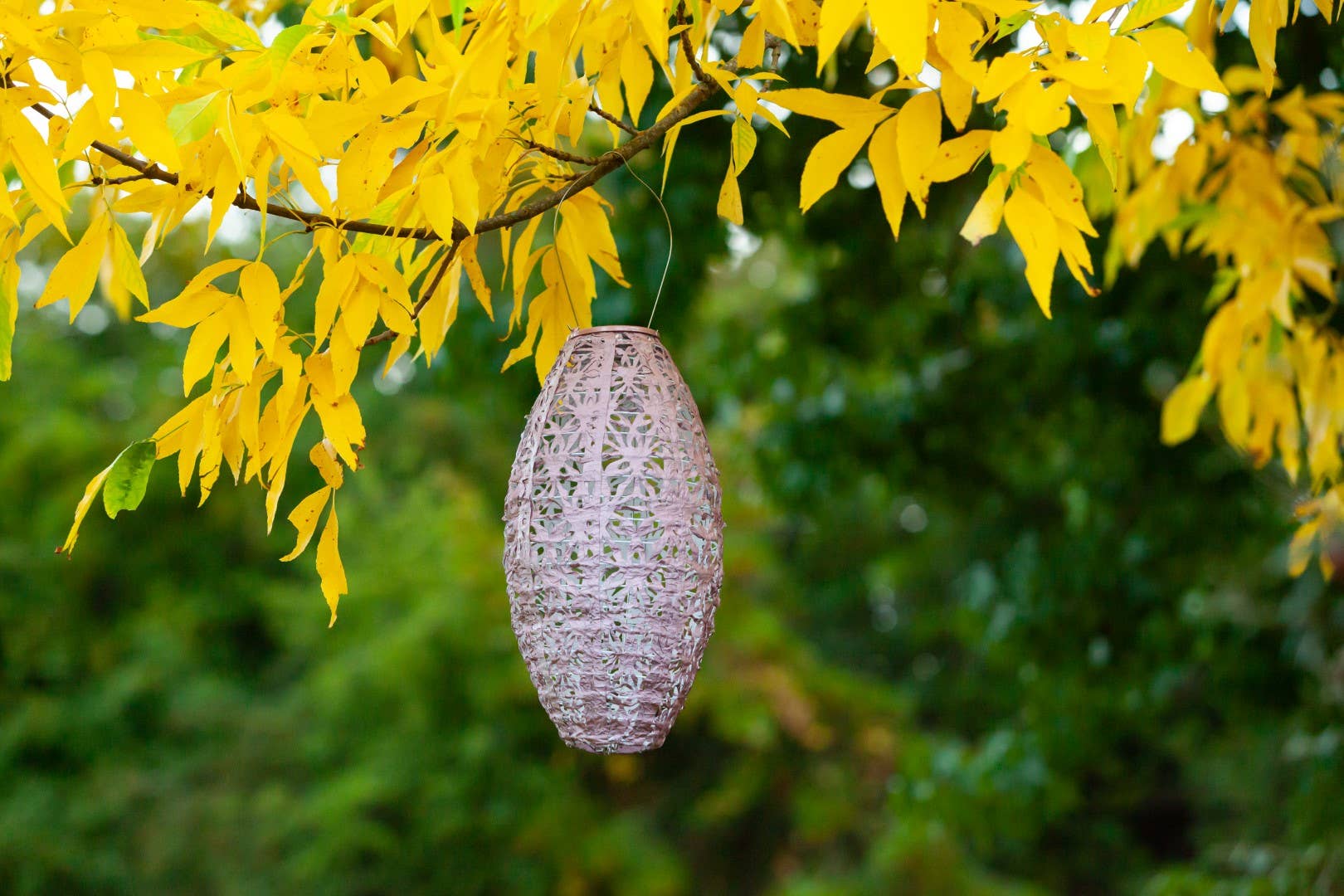 Stella Wildflower Pod Solar Lantern - Blush - Image 16