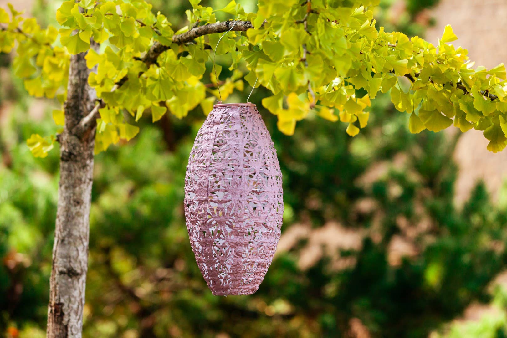 Stella Wildflower Pod Solar Lantern - Blush - Image 2