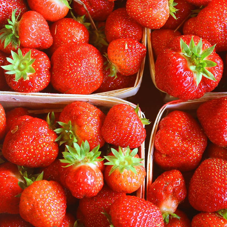 Strawberry Rhubarb Preserve - Image 3