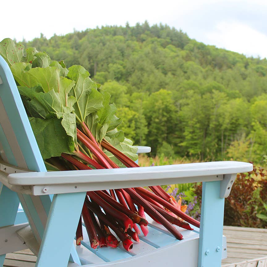 Strawberry Rhubarb Preserve - Image 4