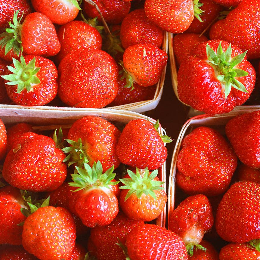 Strawberry with Wild Rose Jam - Image 4