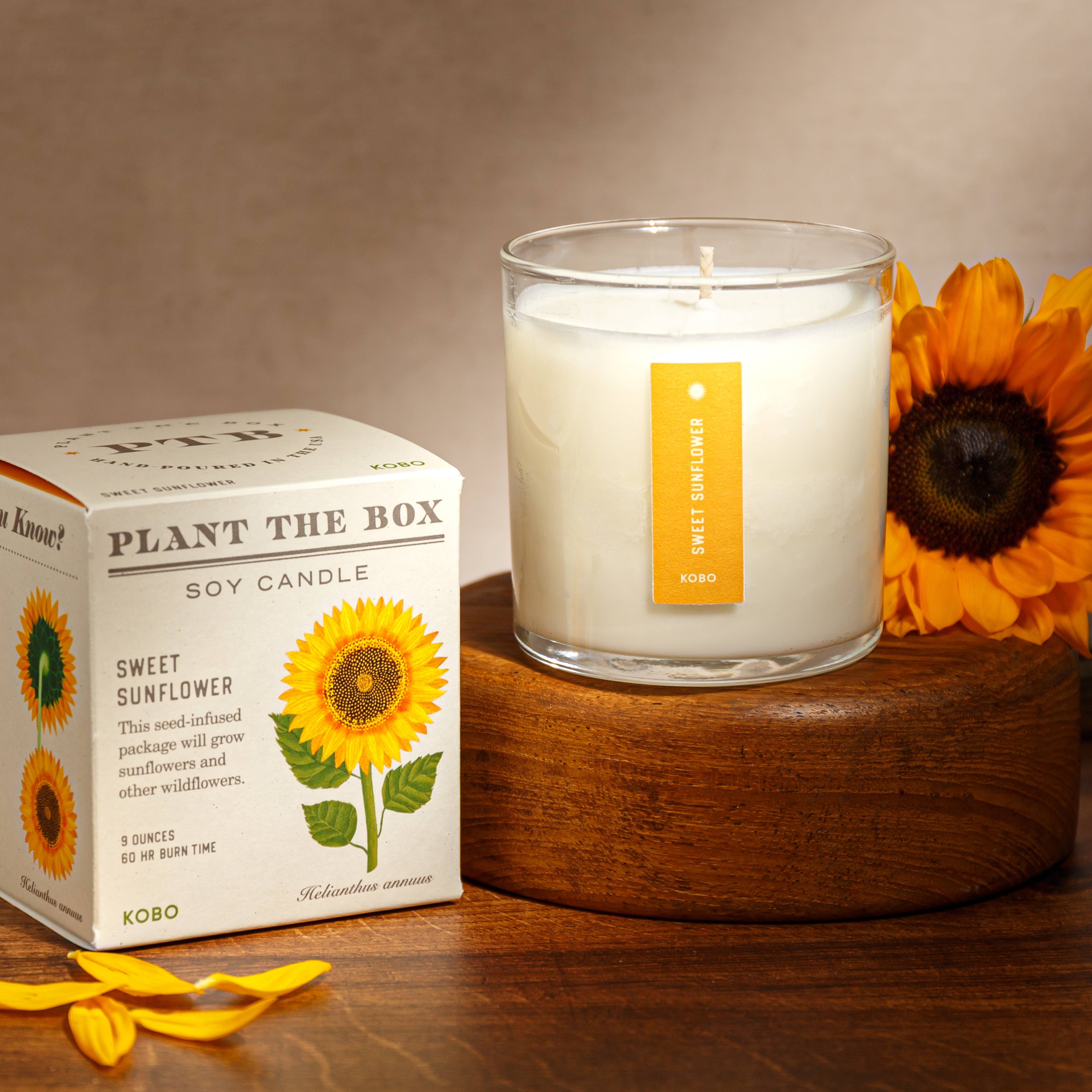 Sweet Sunflower - Plant the Box Candle - 9oz. - Image 2