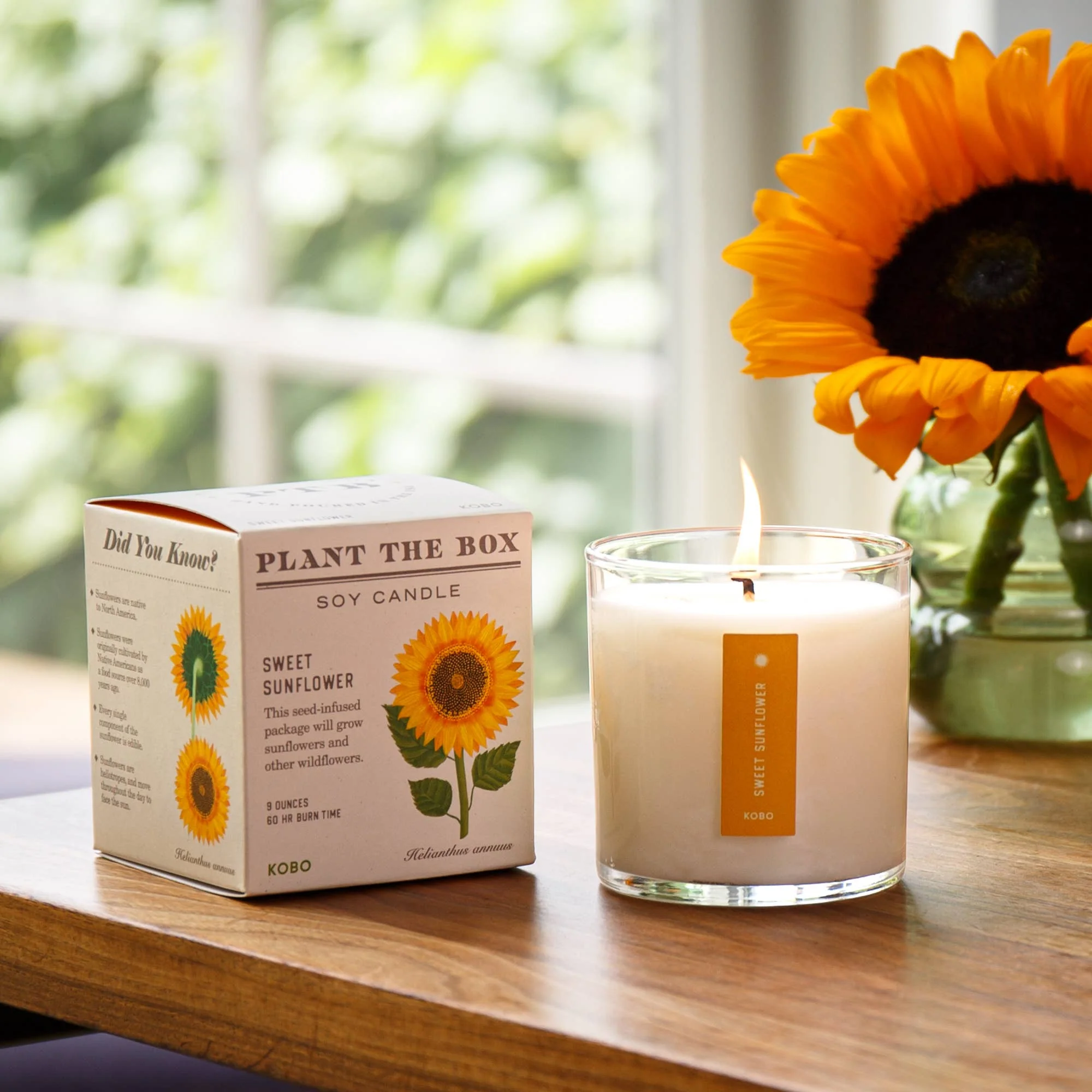 Sweet Sunflower - Plant the Box Candle - 9oz. - Image 3