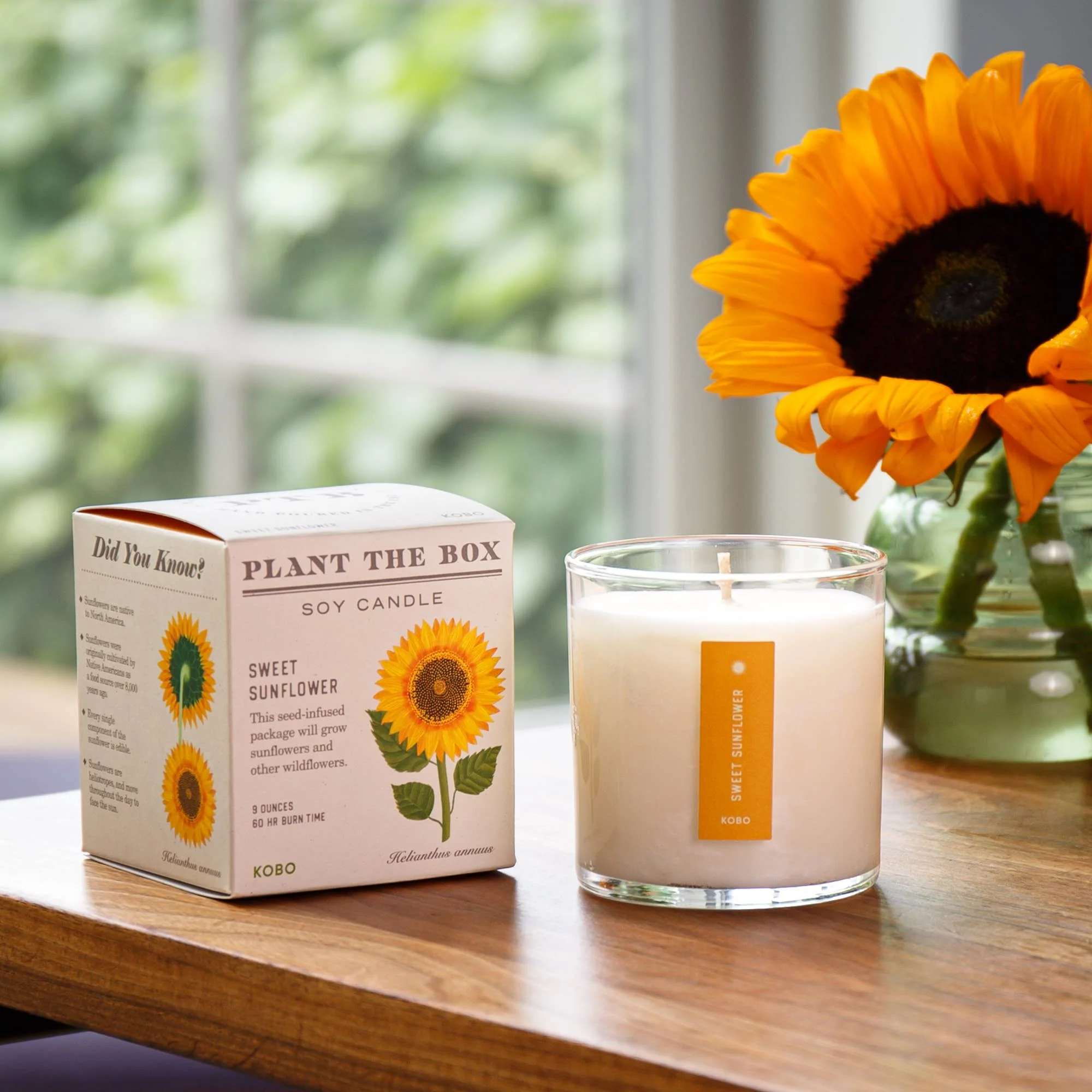 Sweet Sunflower - Plant the Box Candle - 9oz. - Image 5
