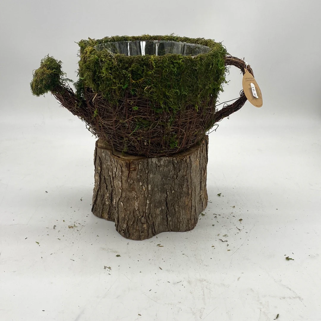 Moss Planters - Image 2