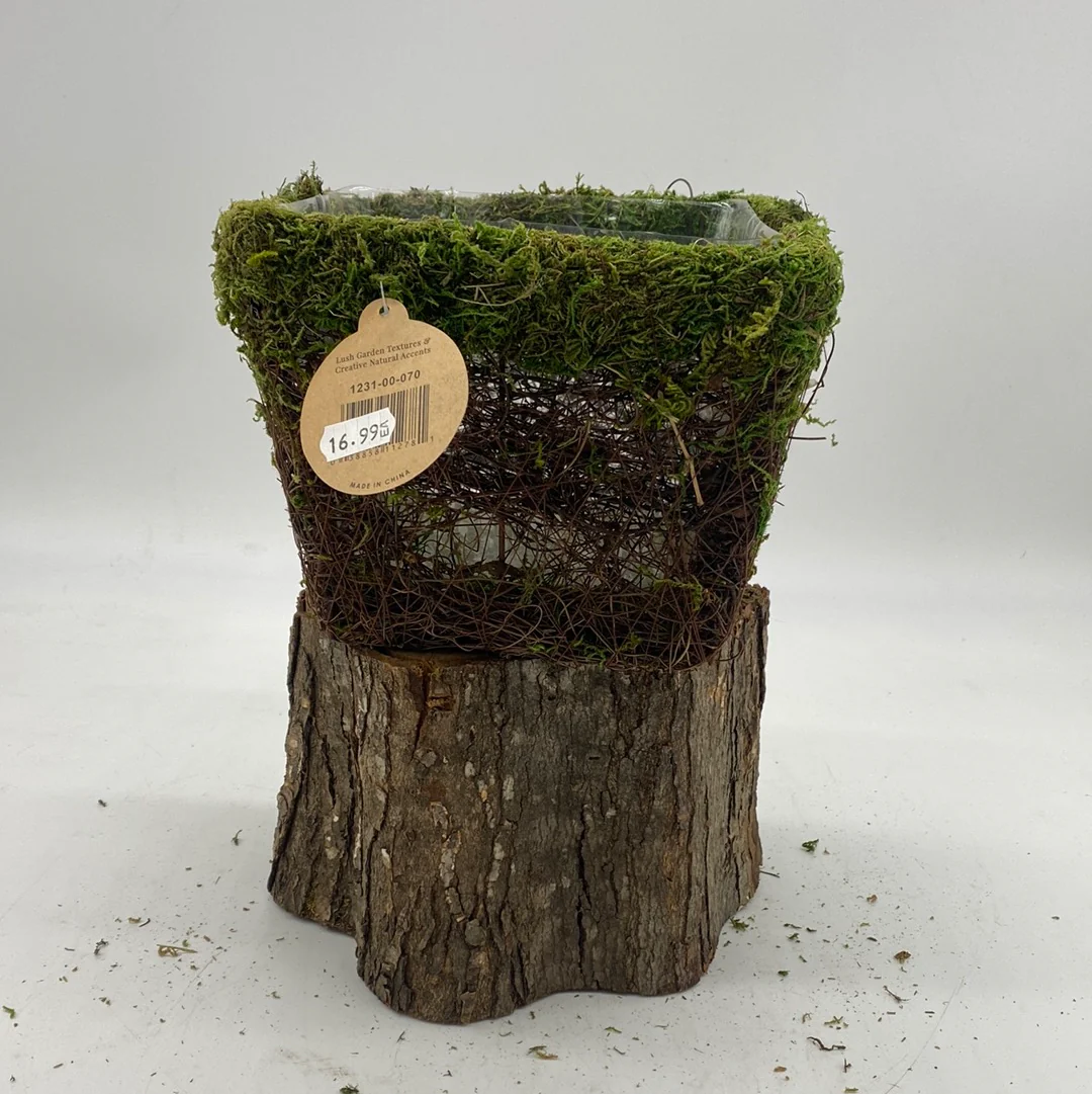 Moss Planters - Image 3