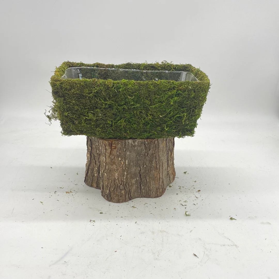 Moss Planters - Image 4