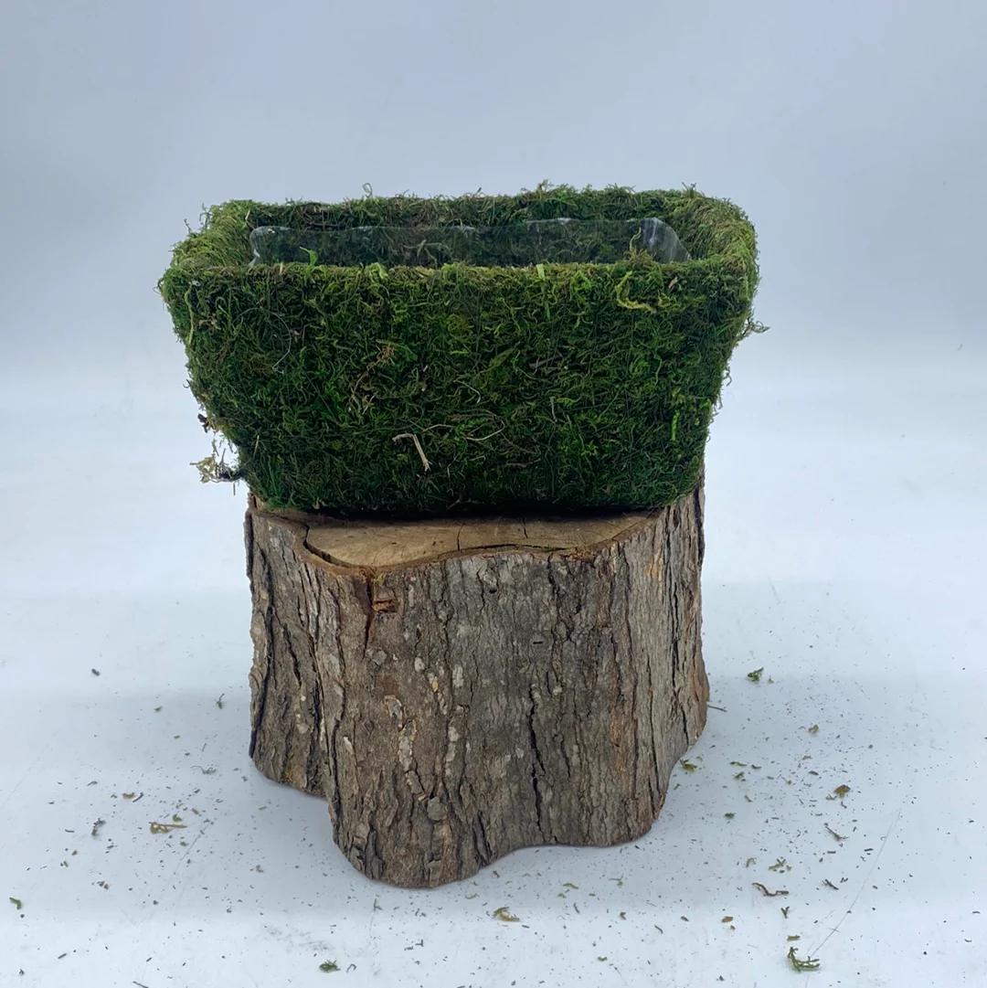 Moss Planters - Image 6