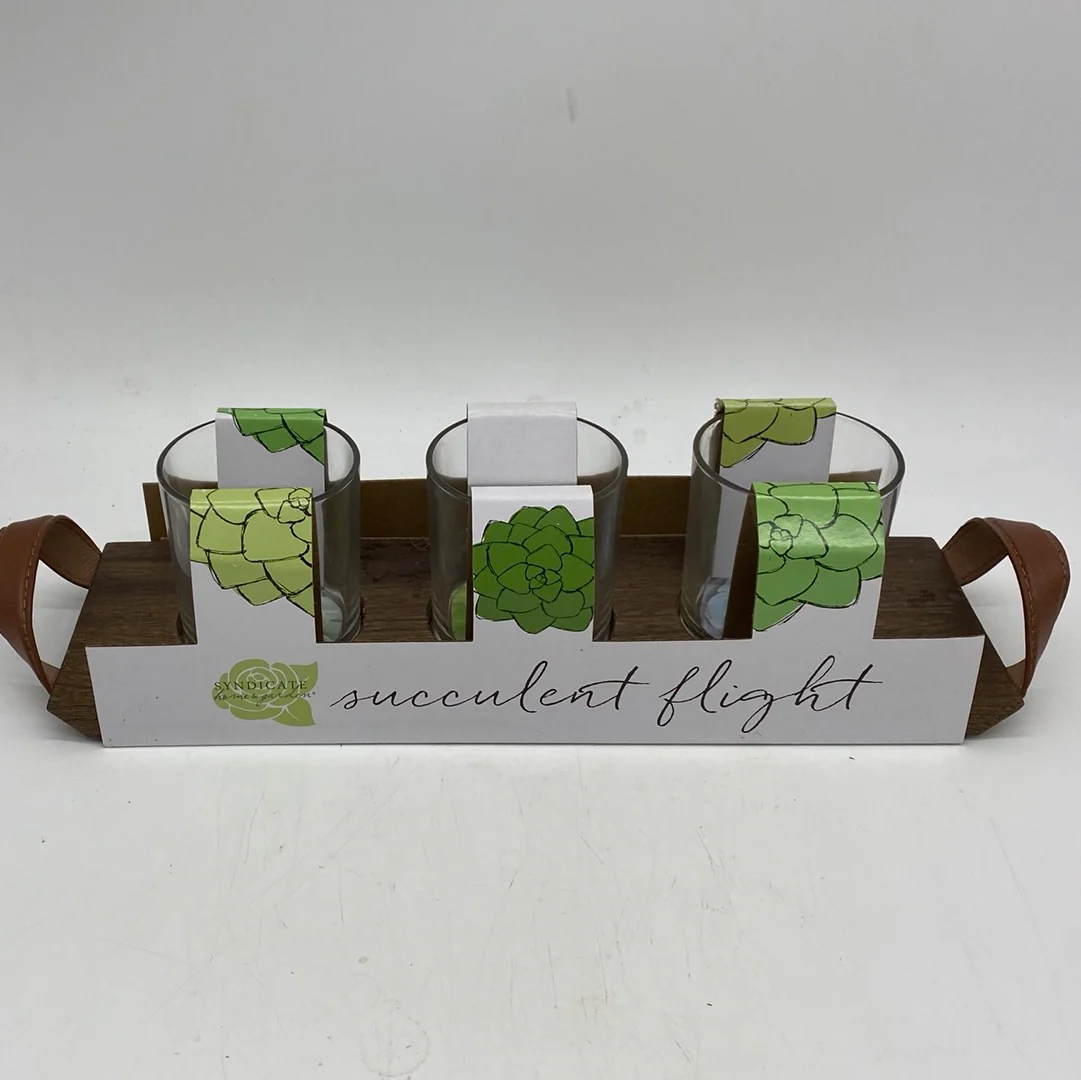 Syndicate Home and Garden Succulent Flight - Image 2