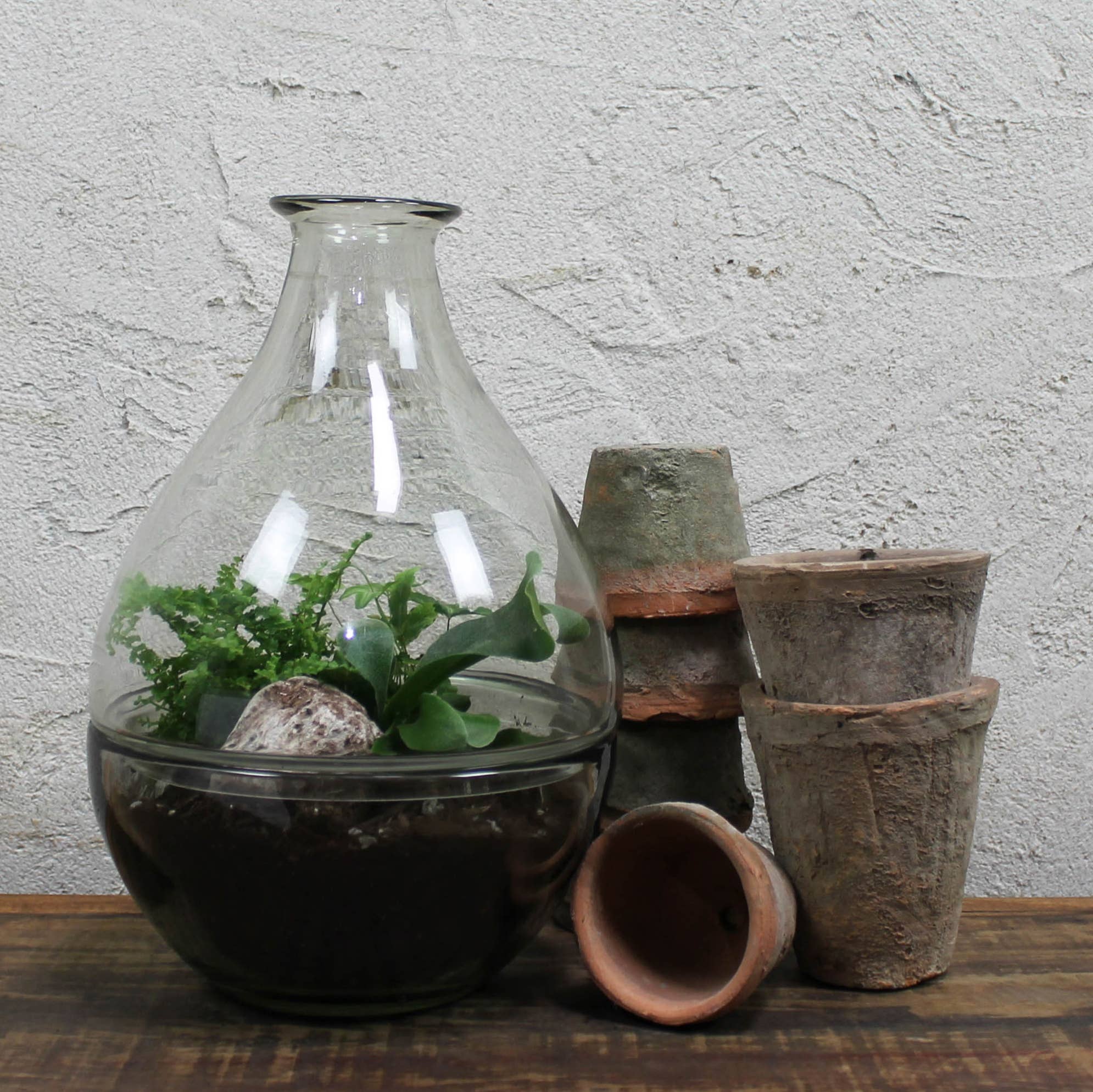 Terrarium, Glass - Image 2
