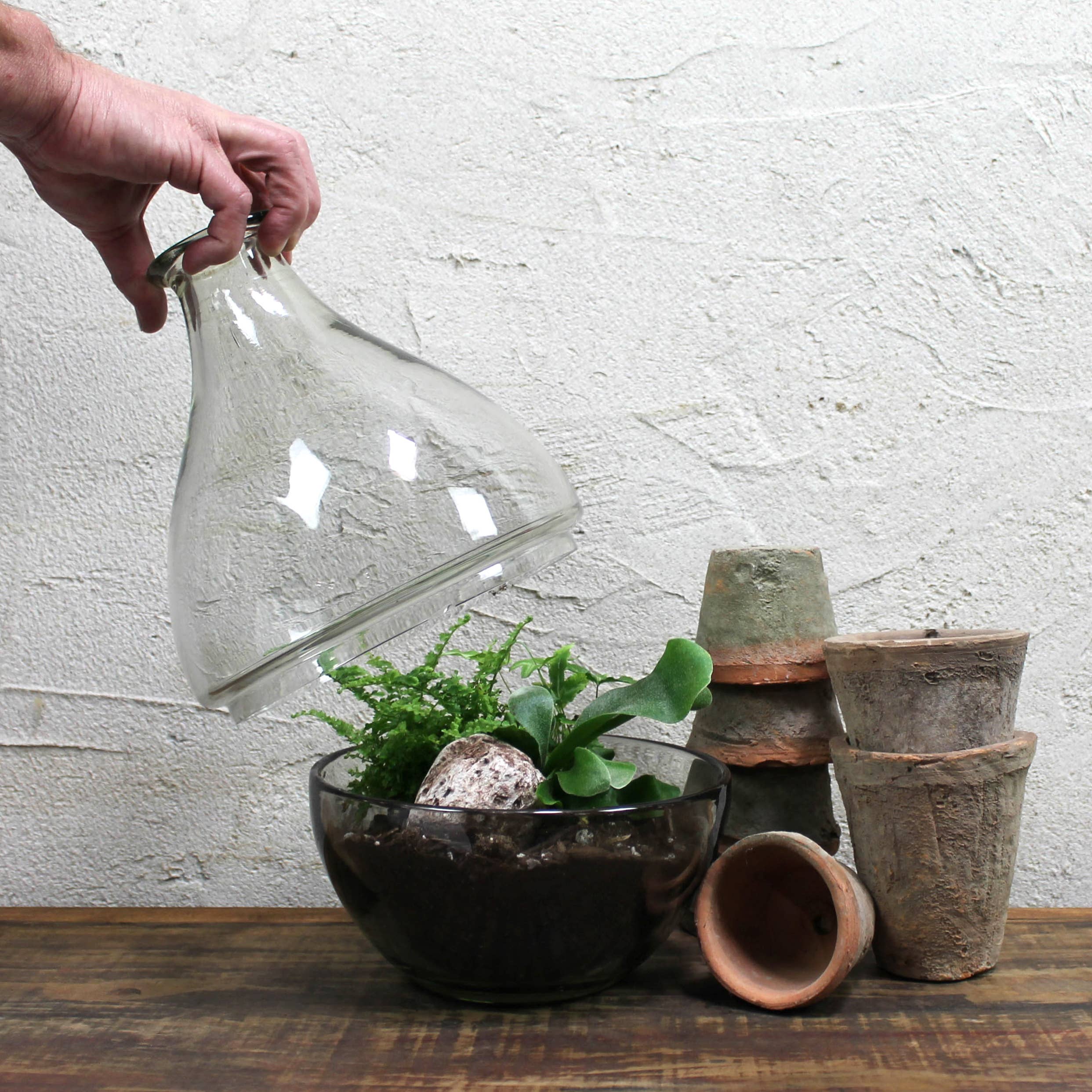 Terrarium, Glass - Image 3