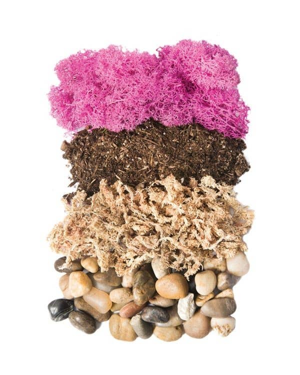 Terrarium Kit DIY Jar, Newport, 32oz Mason Jar - Image 2