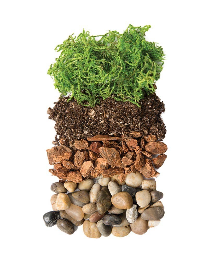 Terrarium Kit DIY Jar, Portland, 32oz Mason Jar - Image 2