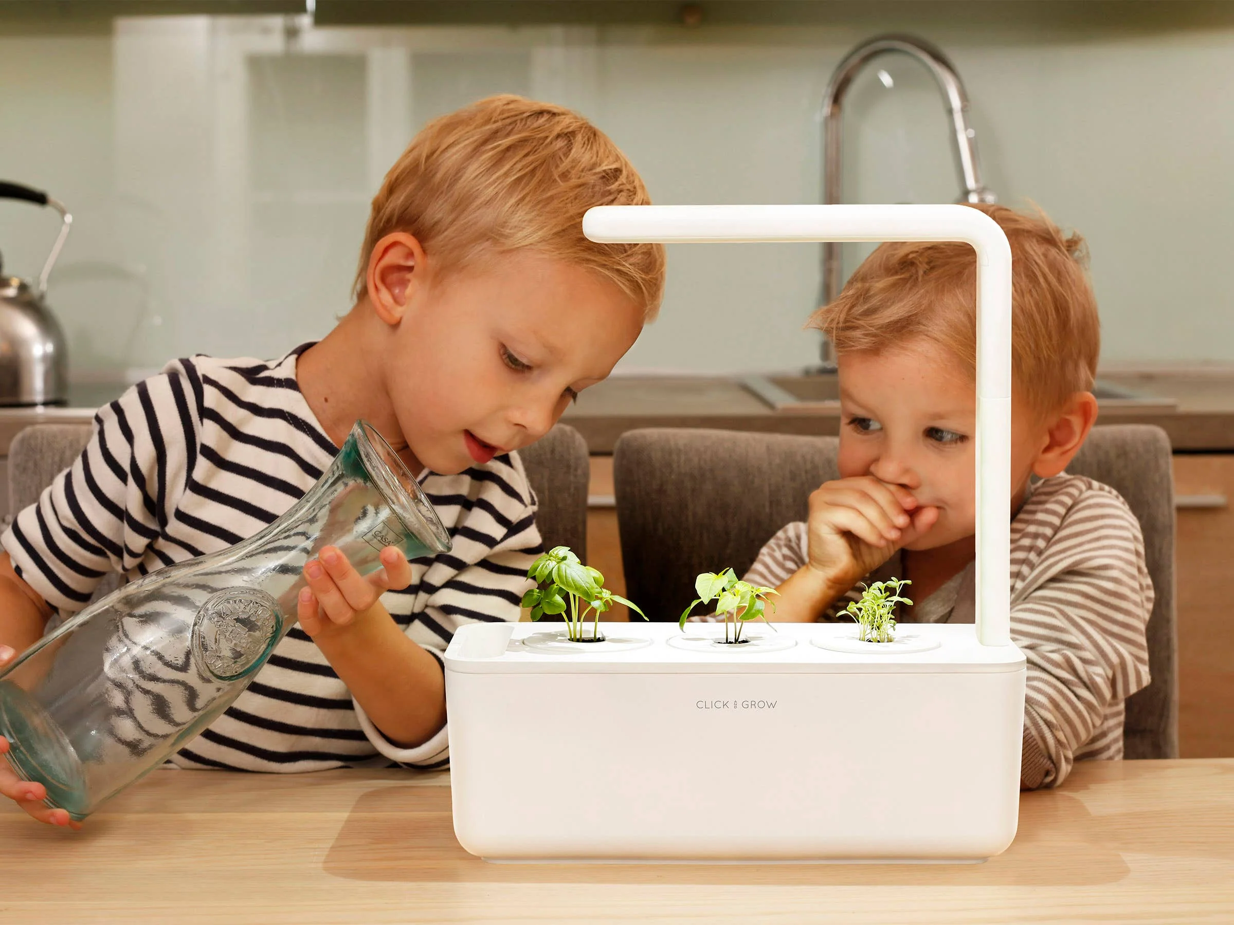 The Smart Garden 3 - Image 5