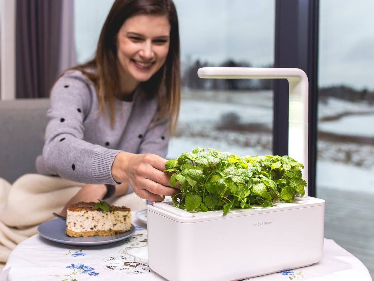 The Smart Garden 3 - Image 8