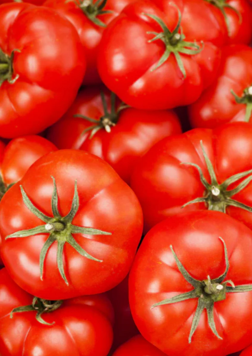 Tomato 'Ace 55' - Fruit Seeds - Image 4