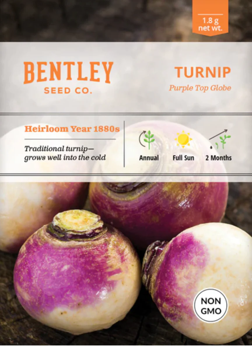 Turnip 'Purple White Globe' - Vegetable Seeds - Image 2