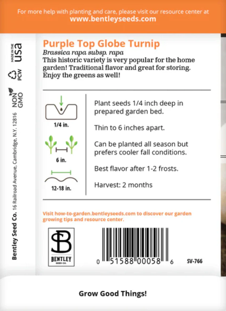 Turnip 'Purple White Globe' - Vegetable Seeds - Image 3