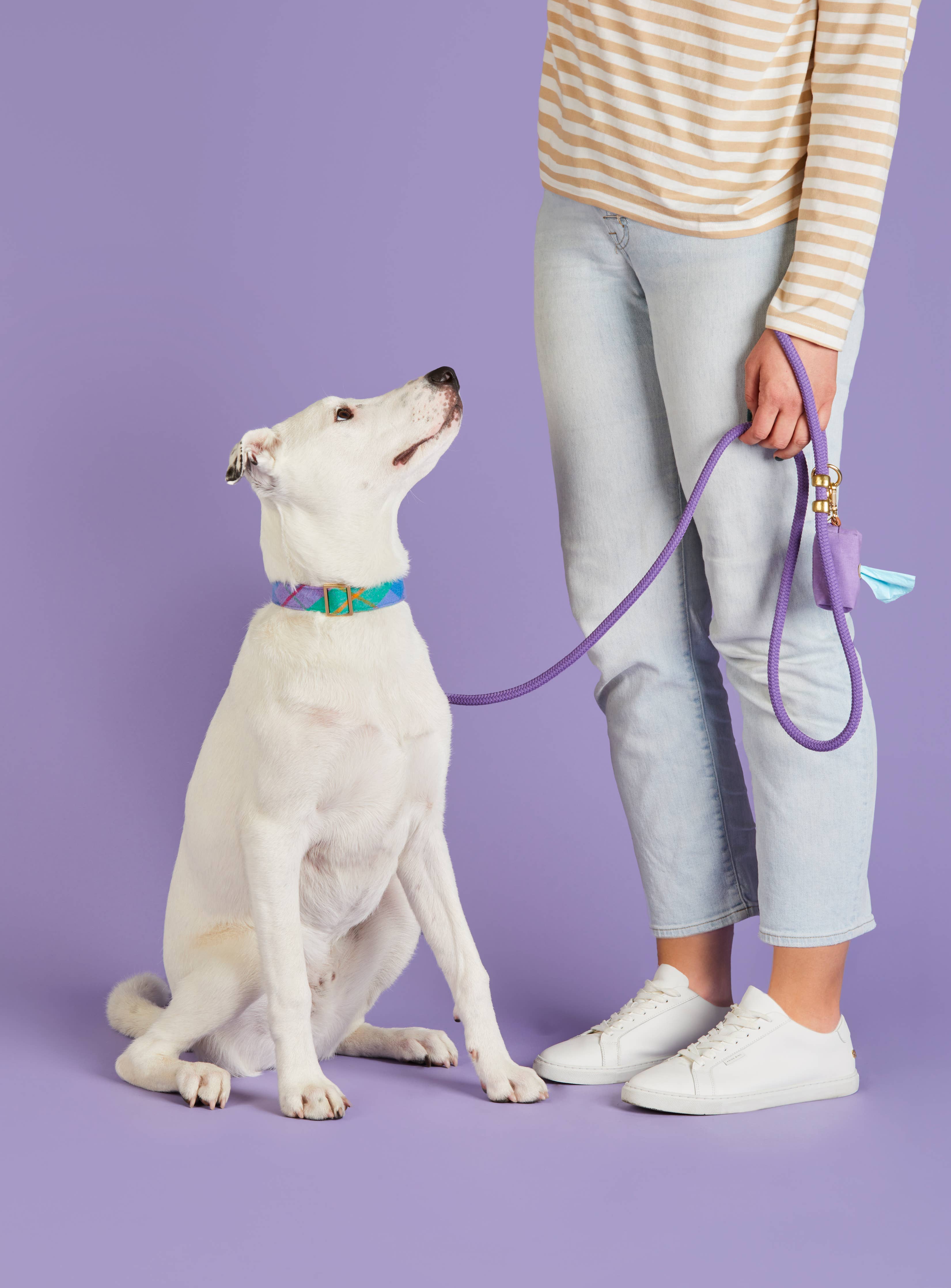 Violet Marine Rope Dog Leash - Image 4