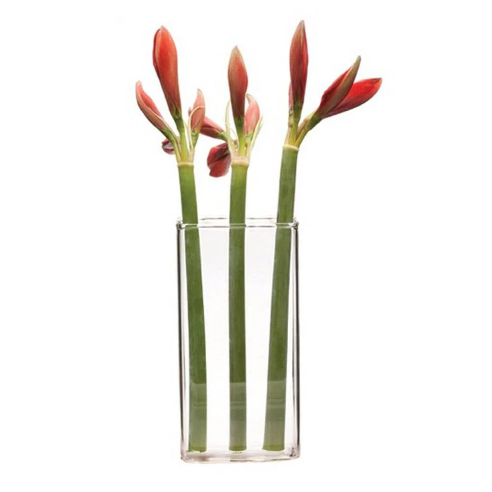 Wall Brick Clear Glass Hanging