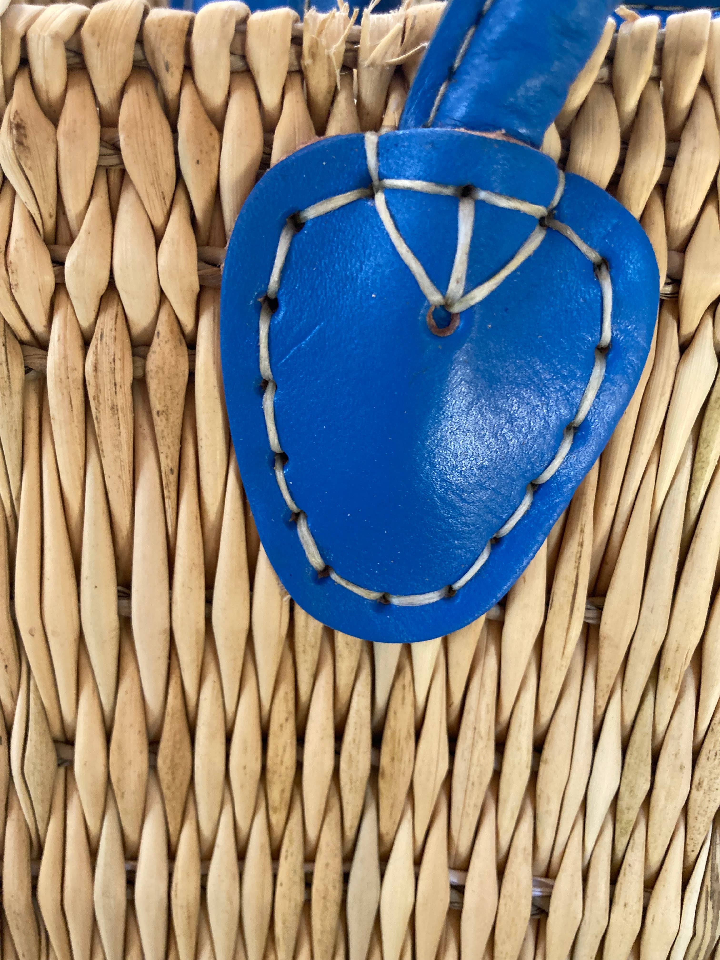 Water Reed with Light Blue Handles - Image 2
