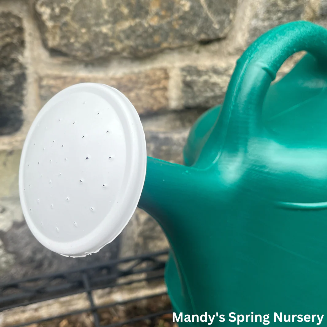 2 Gal. Hunter Green Watering Can w/ Floral Design - Image 4