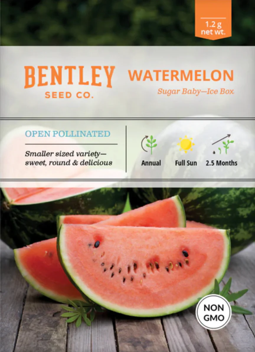 Watermelon 'Sugar Baby' - Fruit Seeds - Image 2