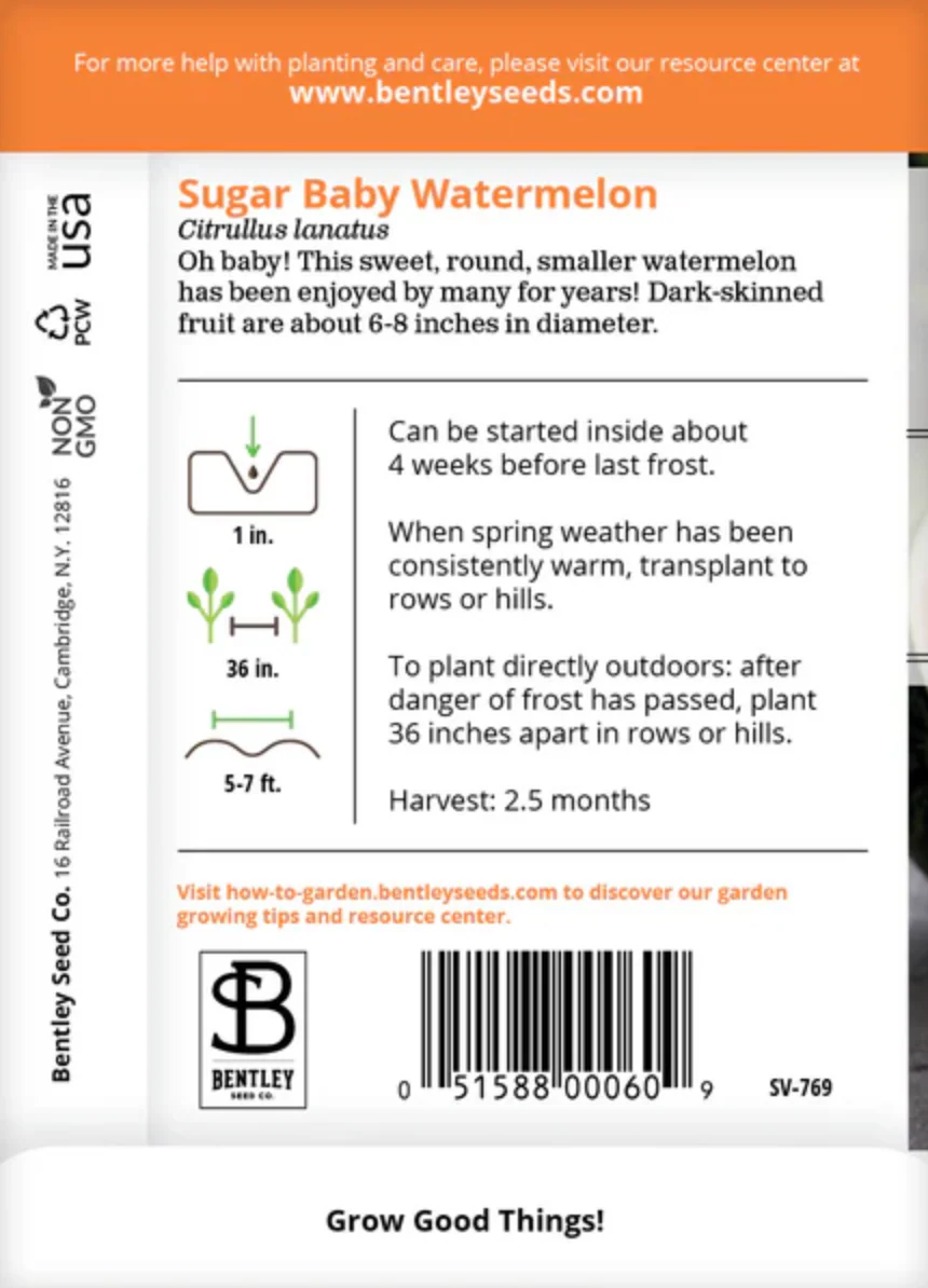 Watermelon 'Sugar Baby' - Fruit Seeds - Image 3