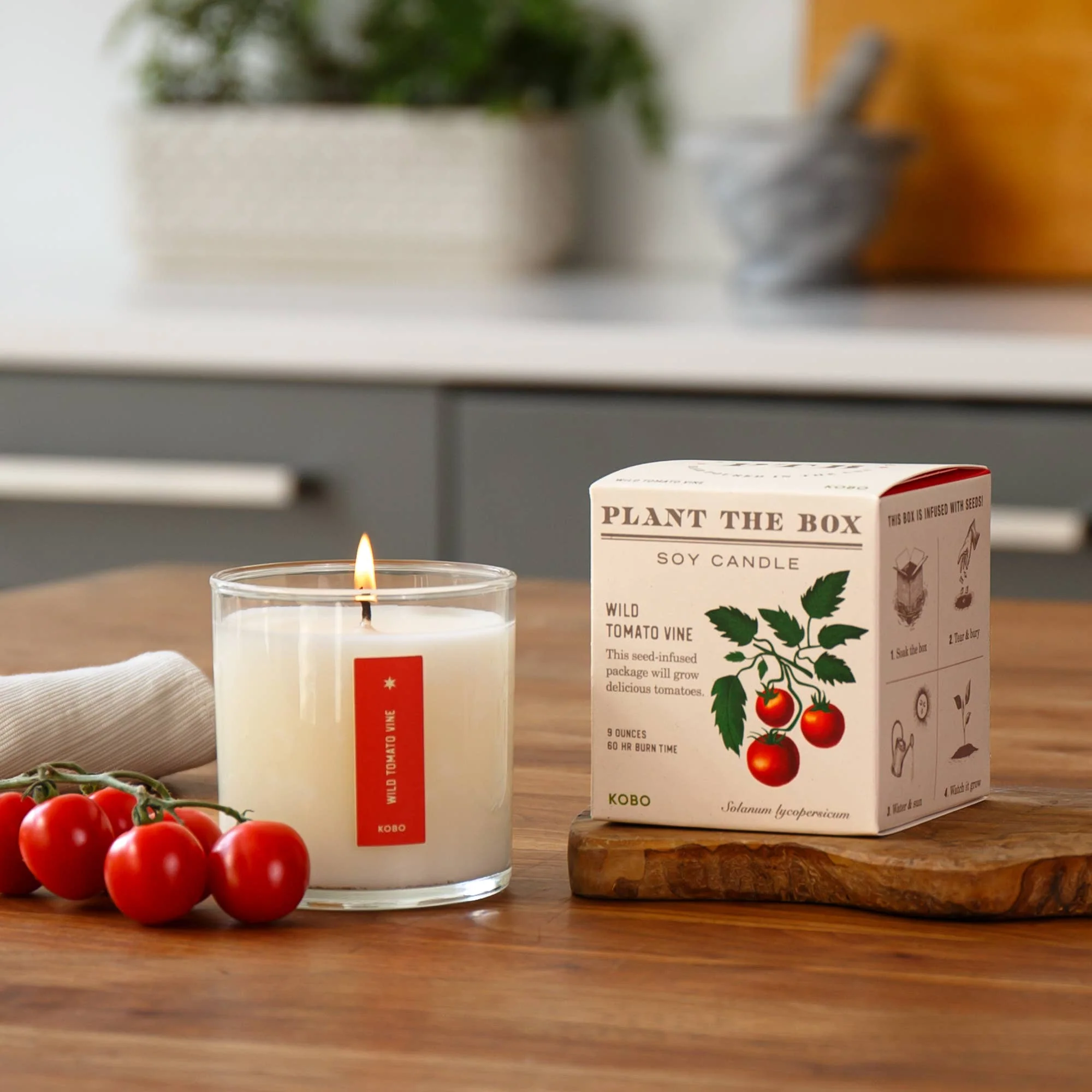 Wild Tomato Vine - Plant the Box Candle - 9oz. - Image 3