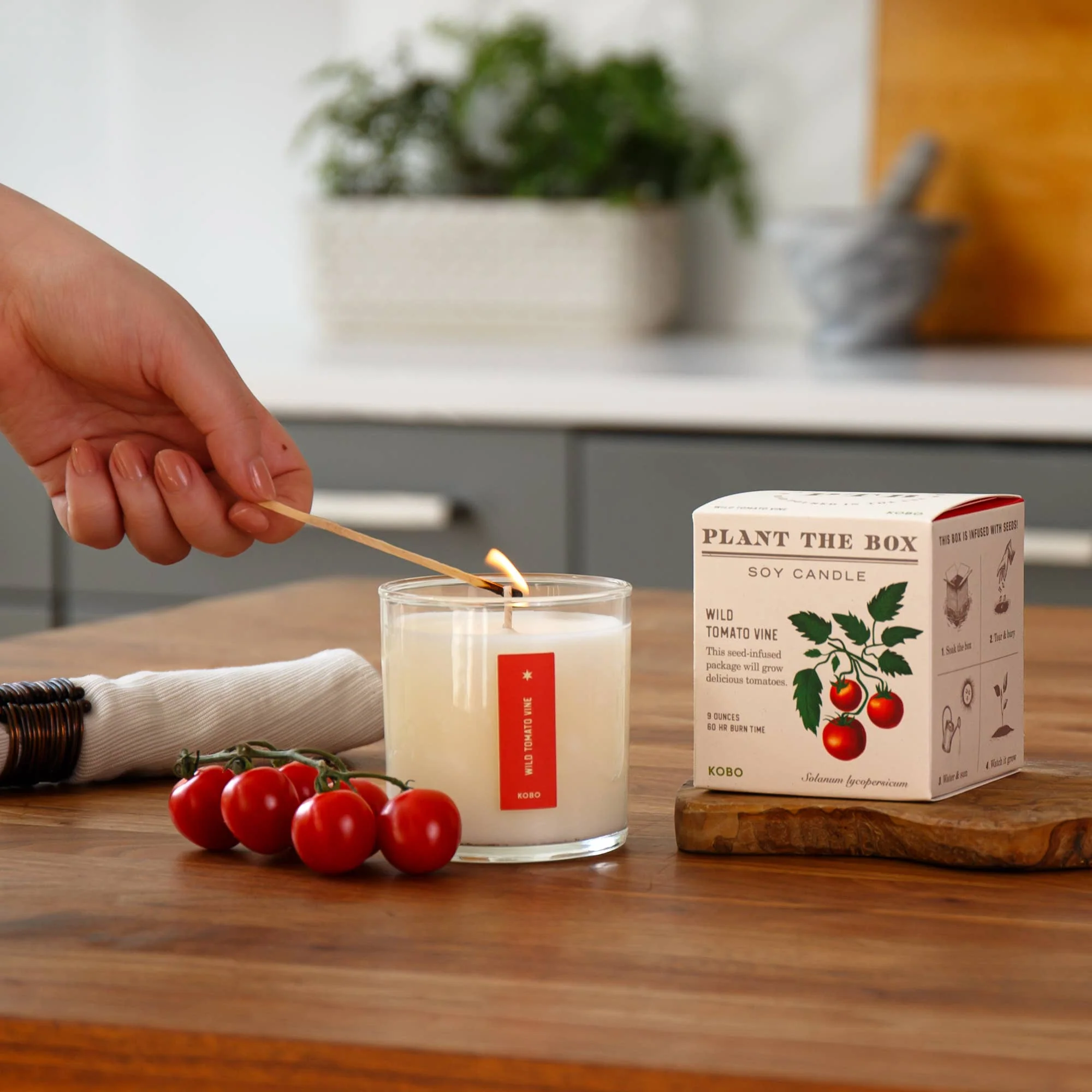 Wild Tomato Vine - Plant the Box Candle - 9oz. - Image 5
