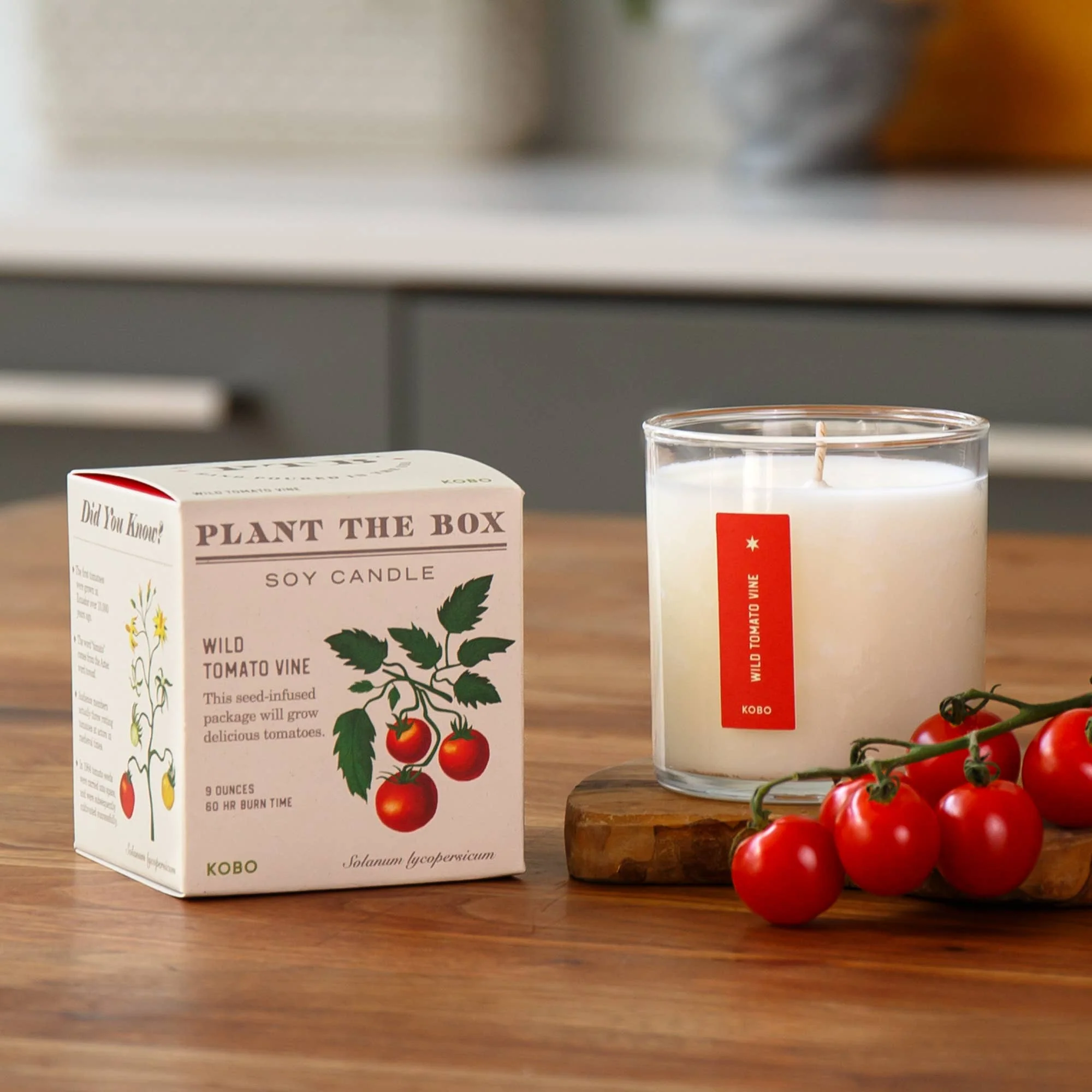 Wild Tomato Vine - Plant the Box Candle - 9oz. - Image 6