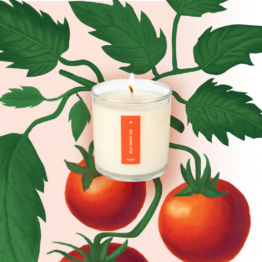 Wild Tomato Vine - Plant the Box Candle - 9oz. - Image 9