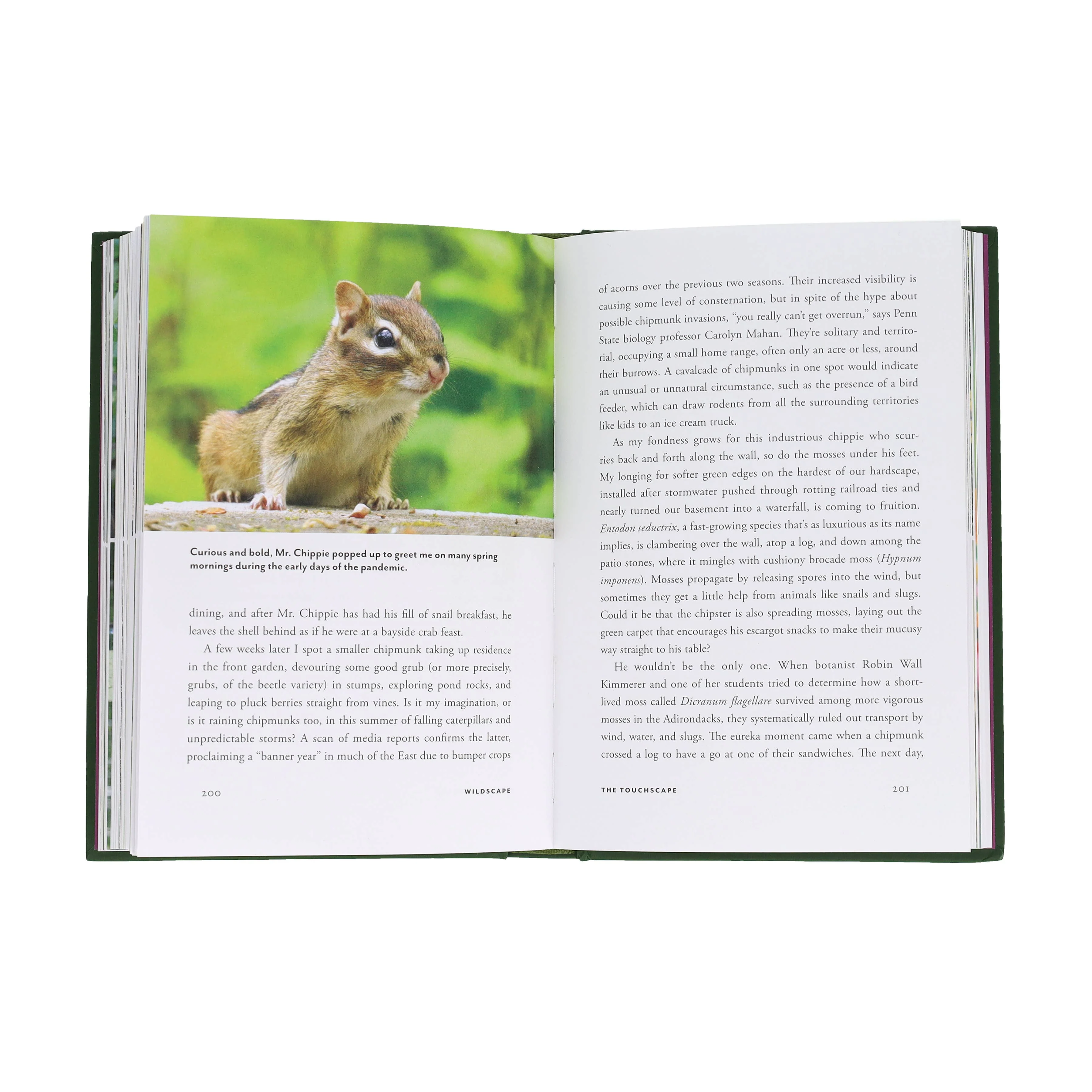 Wildscape - Image 15