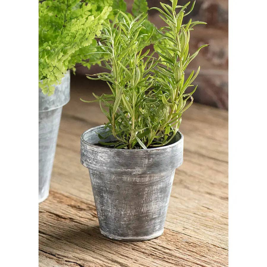 Zinc Flower Pot - Image 2